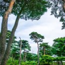 화진포 역사안보전시관 이미지