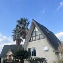 돌담하우스 | 제주 감성 돌담 독채숙소 : 라피아 하우스 후기