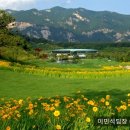 몽베르컨트리클럽 이미지