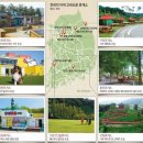 동해자동차병원 이미지