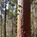 당리 동원 2차베네스트아파트 이미지