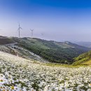 평창군 종합관광안내소 이미지