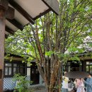 카페 오가닉 이미지