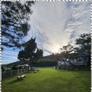 조이애견 이미지