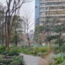 생성도시 - 가족 이미지