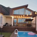 엘시아 애견풀빌라 이미지