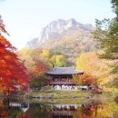 전라도장성