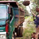 우림농장2 이미지