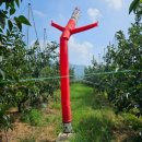 한국1농장 | 한국기행 창원 단감 농장 알아보기(가을 1번지)