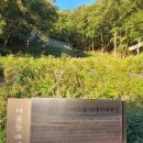 어물동 마애여래좌상 | [공지] 울산 북구 어물동 마애여래좌상, 천년의 시간을 담은 흔적 따라가기