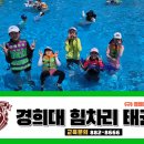 둔내태권도체육관 네이버블로그