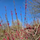 개화마을회관 이미지