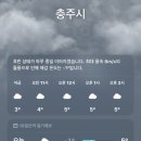 충주지씨 열녀각 | [충주캠핑] 충주캠핑장 목계솔밭캠핑장 C71, 충주캠핑장 추천, 충주 메밀마당