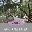 코로나 이후 4년 만에 기다리던 ♡보은 대추 축제♡ 그리고 법주사 ☆오리숲길☆당일여행 이미지