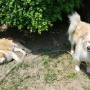 월악산 가족민박 이미지