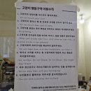 고양이 행복구역 이미지