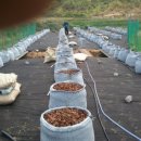 병규농장 이미지