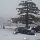 울진초등학교 이미지