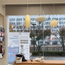 동물병원알루 | [동물병원알루] 강아지 동물 병원 건강검진 후기