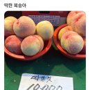 유소다 - 화성시 동탄대로시범길 142 | 유소다