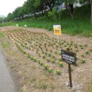 광주천우안자전거도로 이미지