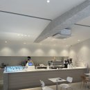 아브힐(Avril) 이미지