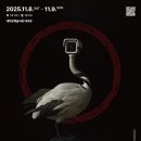 초이스 커넥션 이미지