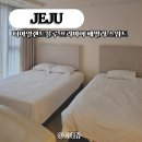 제주야놀자 민박 | 제주 디아일랜드블루 호텔 조식 프리미어 패밀리 스위트 오션뷰 서귀포 4인 가족 숙소