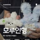 성남여자중학교 | 대구 출강 추천/ 영천성남여자중학교 모루인형만들기 체험, 아이들이 반한 공예수업