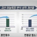 괴산염소농장 이미지