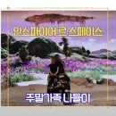 쌍둥이식당 | 14개월 쌍둥이 르스페이스 전시회 주말나들이 (+인스파이어몰 식당 후기)
