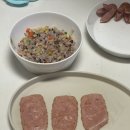 비엔나유치원 | 유치원 소풍 도시락 만들기🐇 6세 롤유부초밥 • 시나모롤 도시락 • 키티 캬라후루 어묵칩