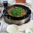 등촌칼국수 이미지