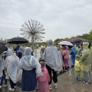 충청남도태안교육청태안도서관 이미지