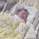 쉬즈메디병원 이미지