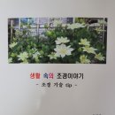 생활속의 조경이야기 이미지