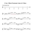 C Key 3 Block Pentatonic Scale & 12 Beat 이미지