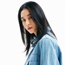 컴패니언 이미지