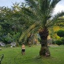 제주타이펜션 이미지