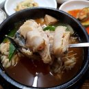 송정동태 이미지