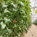 이신부동산공인중개사사무소 이미지