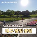 작은동물원 | 대구 달성공원 주차 동물원 등 대구 여행 코스