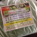 홍시언니네 이미지