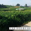 구자농장 이미지