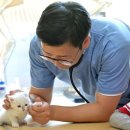 제주특별자치도 동물위생시험소 (동물보호센터) 동물병원 이미지