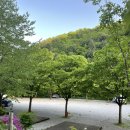 [공지] [강원/평창] 계곡이 너무 시원한 여름 최애 캠핑장, 흥정계곡캠핑700 14번 사이트(구명조끼 대여...