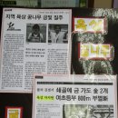 대구월곡초등학교 이미지