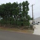 가자부동산공인중개사사무소 이미지