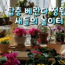 (주)담주조경