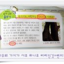 신화연리지